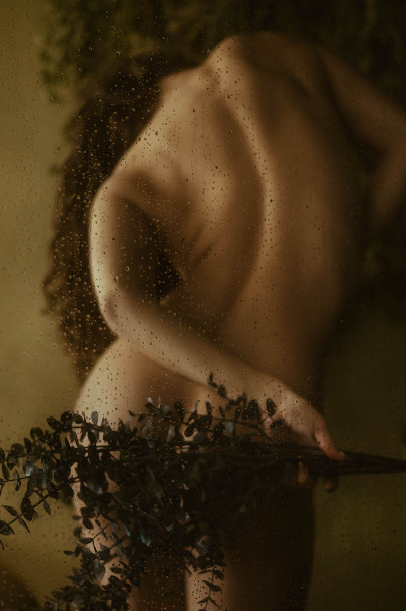 A woman with long hair is seen in a dimly lit, artistic, and blurred photograph holding a branch, their back turned and body slightly twisted, evoking the essence of a fine art boudoir scene.