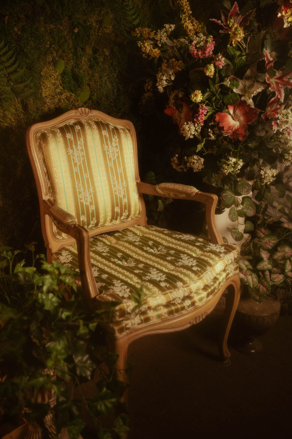 Antique French Louis XVI armchair at Royal Lune Studio, styled with floral upholstery and surrounded by lush greenery—an elegant detail in this Dallas boudoir studio's spring photography studio setup.