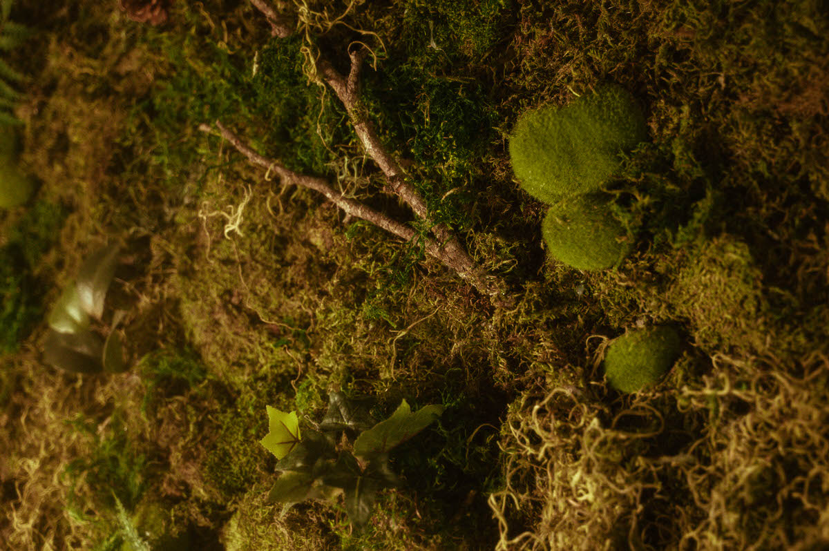 Close-up of the handcrafted moss wall installation at Royal Lune Studio, featuring preserved moss, twigs, and ivy, part of the whimsical spring photography studio setup at this Dallas boudoir studio and creative photo studio rental.