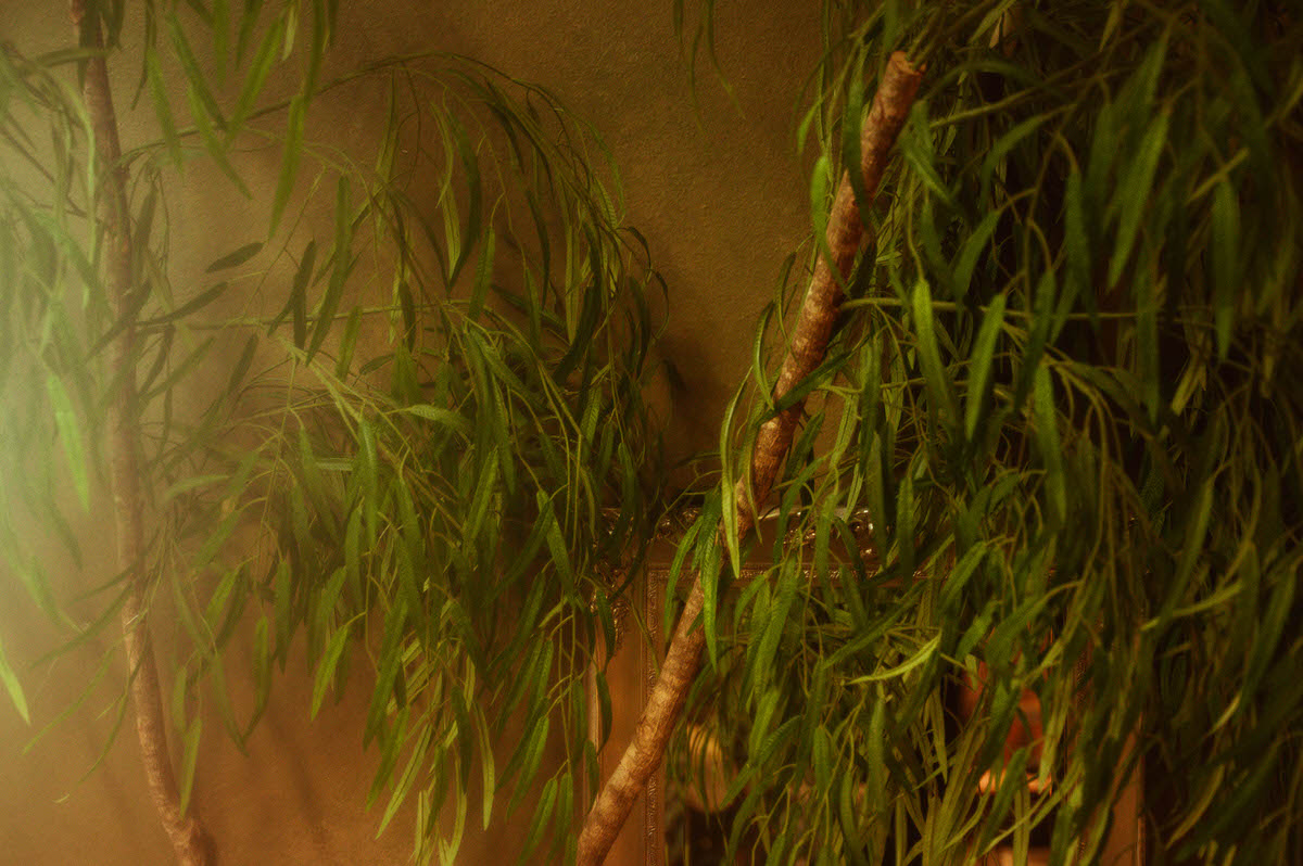 Close-up of faux willow branches and cascading greenery styled against the textured olive limewash wall at Royal Lune Studio, adding organic softness to this Dallas boudoir studio setup.