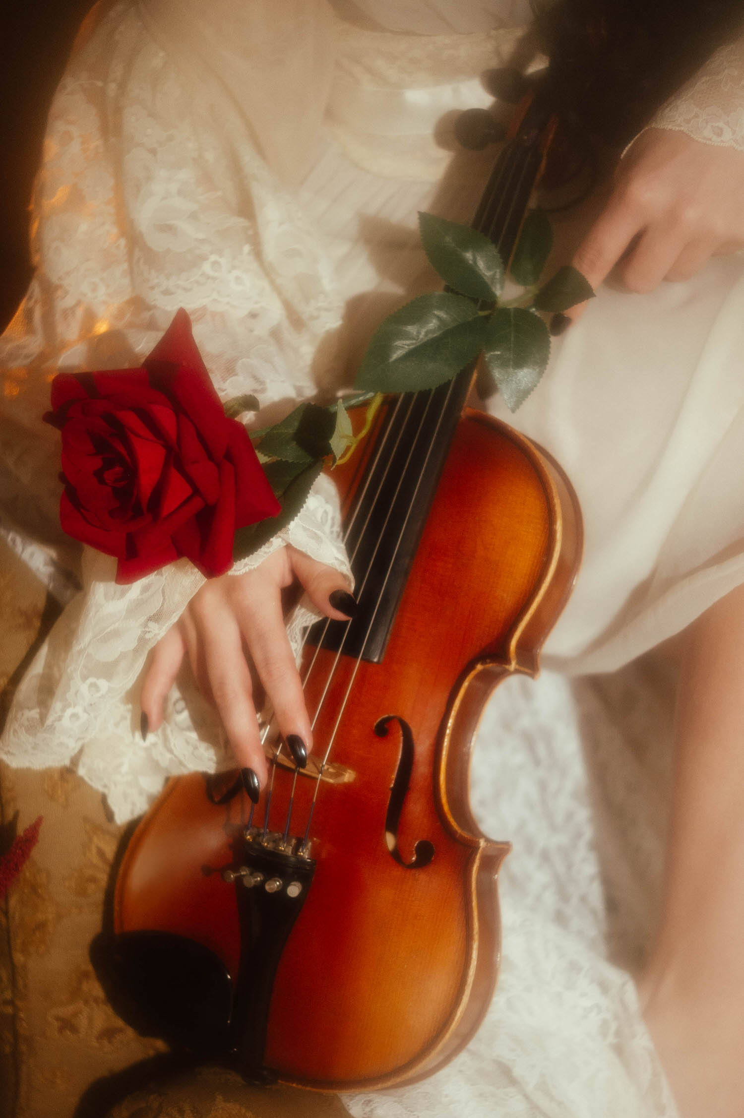  A close up image shows a model's hand with dark polished nails resting on a violin beside a red rose in this Tortured Poets Department photoshoot by Royal Lune Photo.